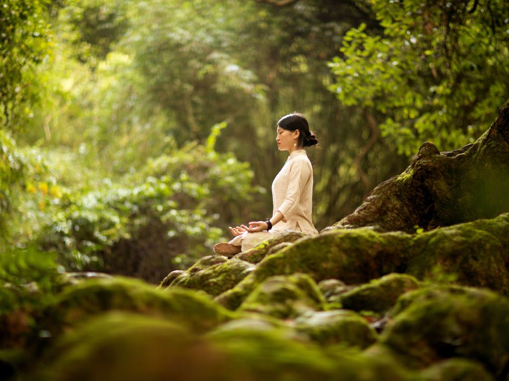 An image of a woman meditating in the nature